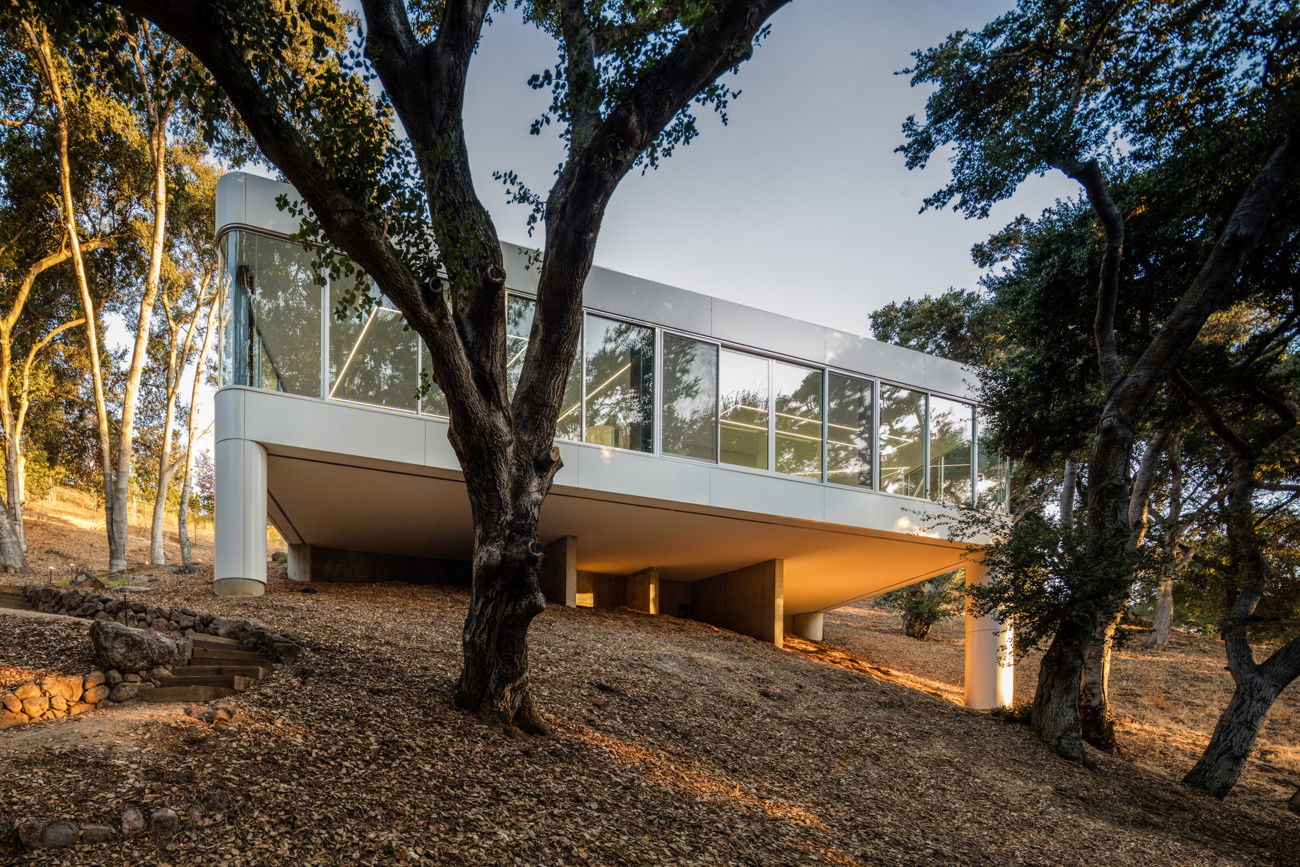 Craig Steely Architecture (США). Стеклянный дом в Силиконовой долине