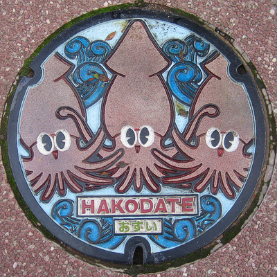 Japanese Manhole Covers