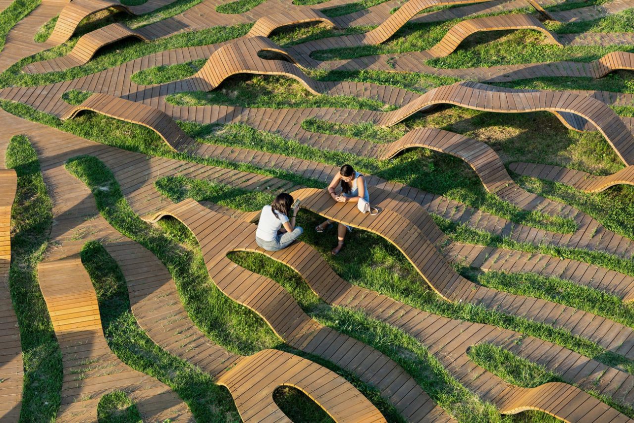 Yong Ju Lee Architecture (Южная Корея). Скамейки-корни