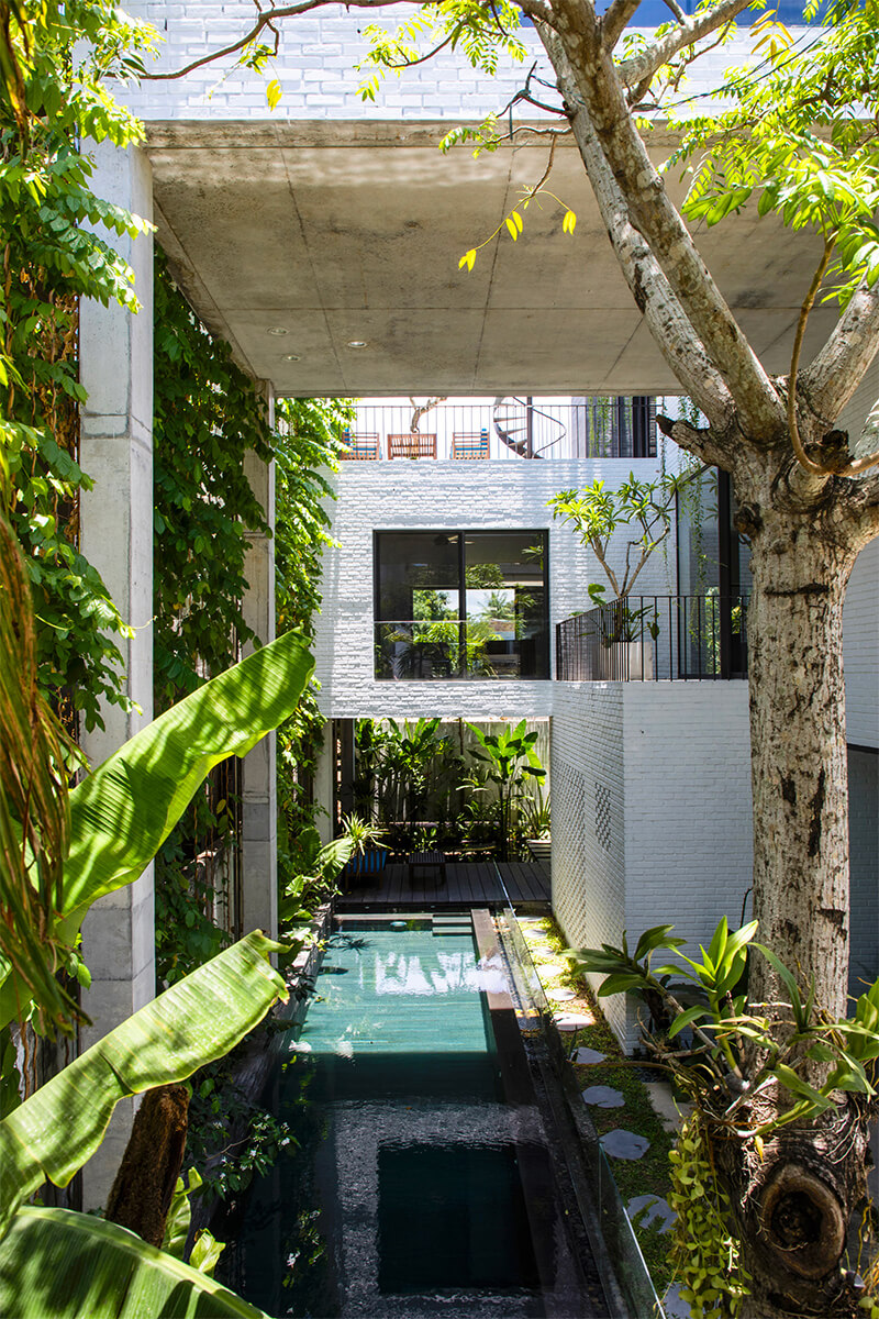 Vo Trong Nghia Architects (Вьетнам). Дом с деревьями на крыше
