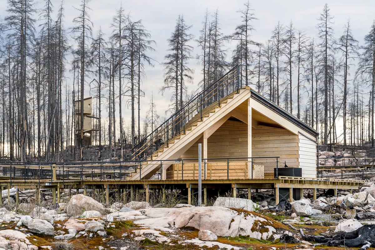 pS Architektur (Швеция). Инфоцентр в сгоревшем лесу