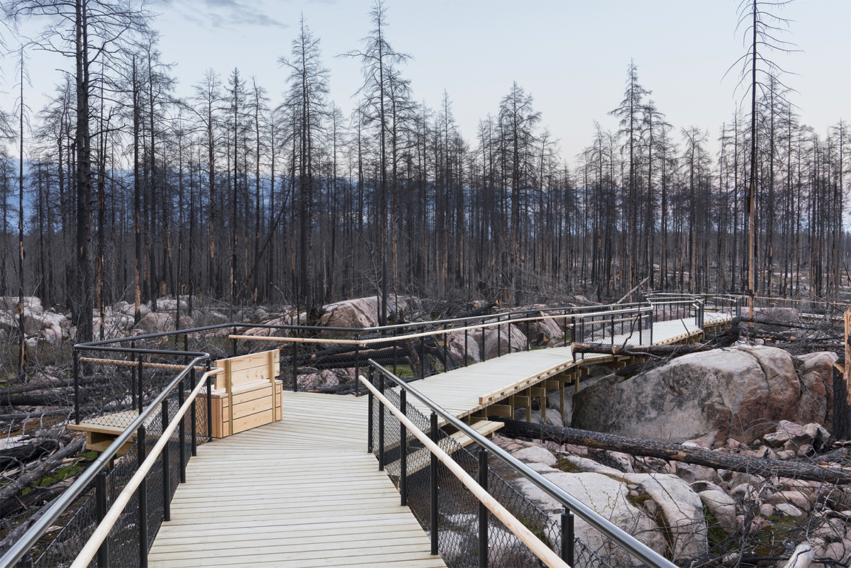 pS Architektur (Швеция). Инфоцентр в лесу после пожара